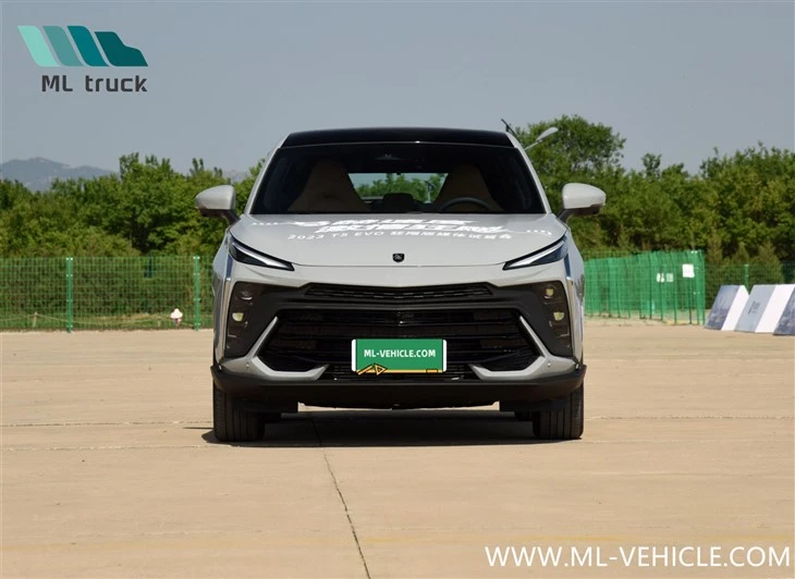 DongFeng Forthing T5 EVO