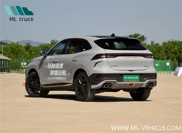 DongFeng Forthing T5 EVO