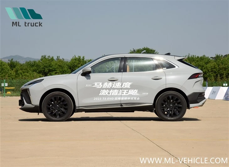 DongFeng Forthing T5 EVO