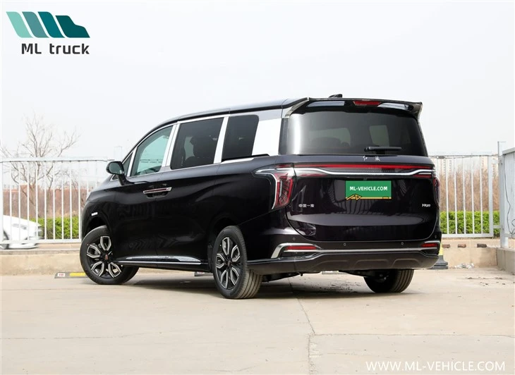 HongQi HQ9