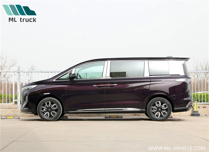HongQi HQ9