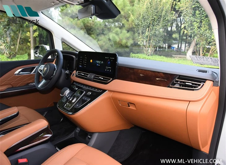 HongQi HQ9