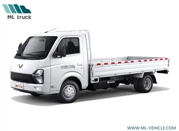 Seolann SAIC-GM-Wuling Longka Pickup Truck