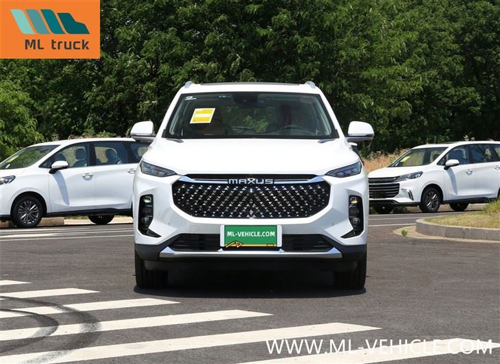 SAIC Maxus D60
