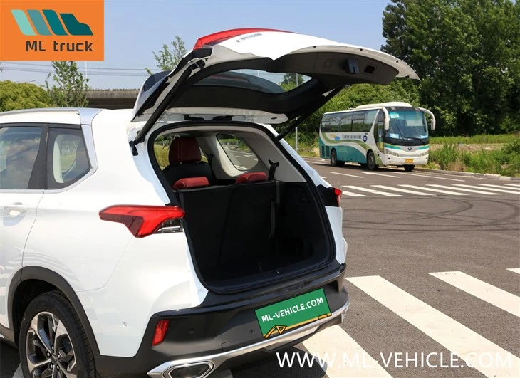SAIC Maxus D60