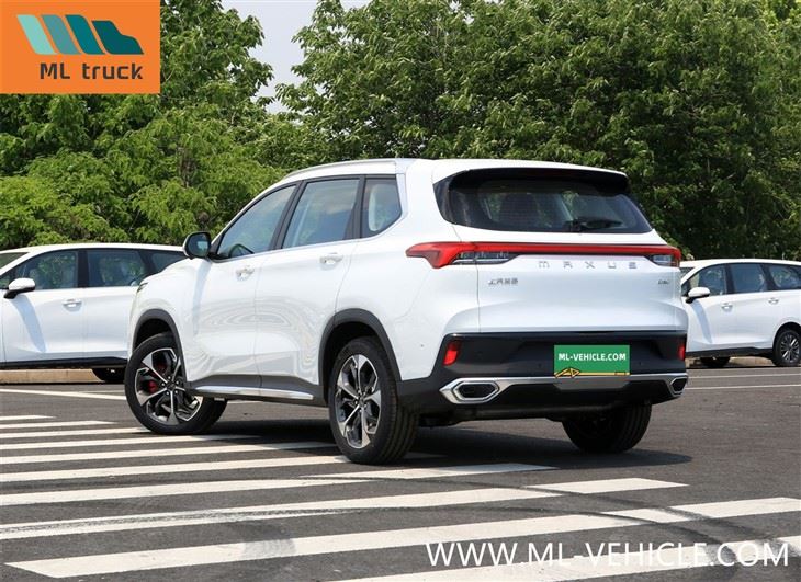 SAIC Maxus D60